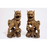 A pair of Chinese carved wood figures of temple lions, 19/20th C. H.: 31 cm Condition reports and