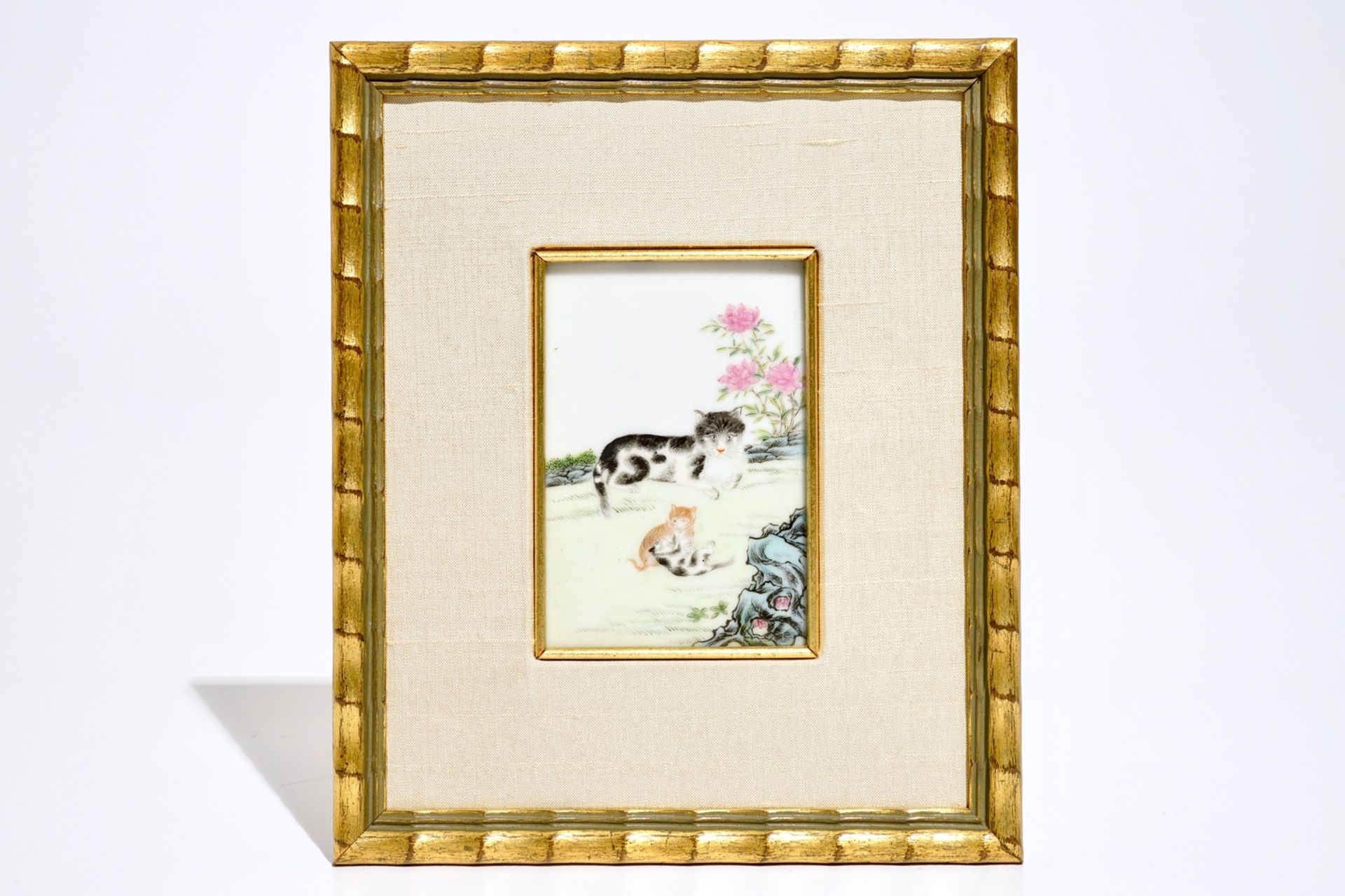 A small framed Chinese famille rose plaque depicting playing cat, 19/20th C.