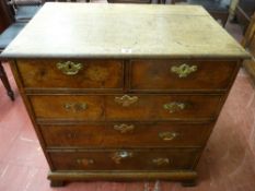 A GEORGE IV CHEST OF TWO SHORT OVER THREE LONG DRAWERS neatly proportioned with cockbeaded edge