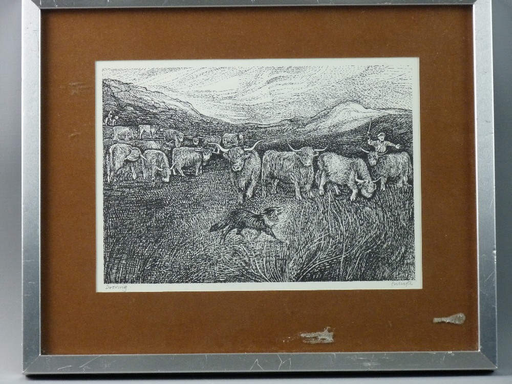 ETHELBERT WHITE wood engraving - drover with Highland cattle and sheepdog, signed and entitled '