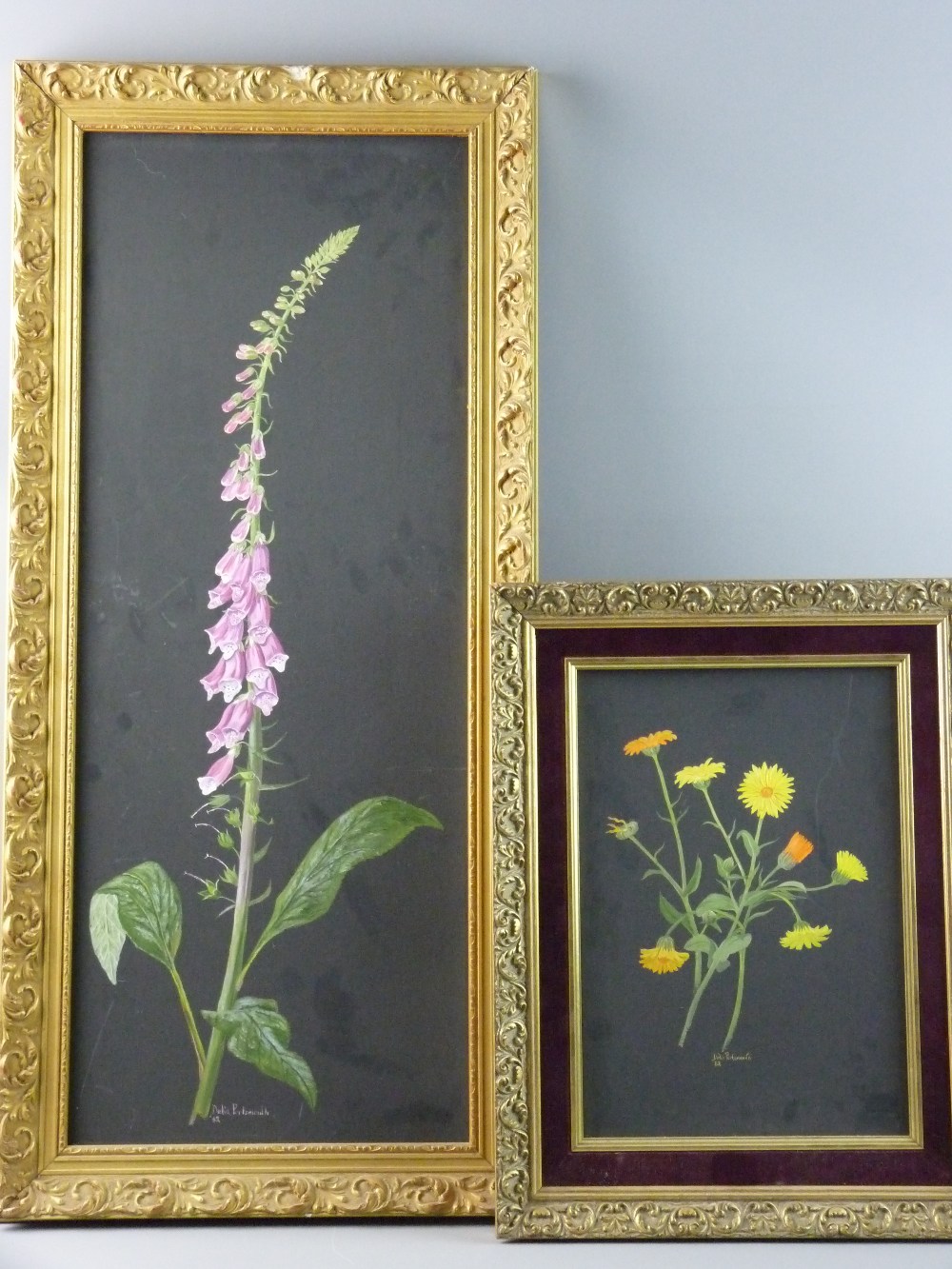 DELIA PORTSMOUTH two oils on board - still life, floral studies, one of wild yellow flowers, signed,