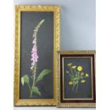 DELIA PORTSMOUTH two oils on board - still life, floral studies, one of wild yellow flowers, signed,