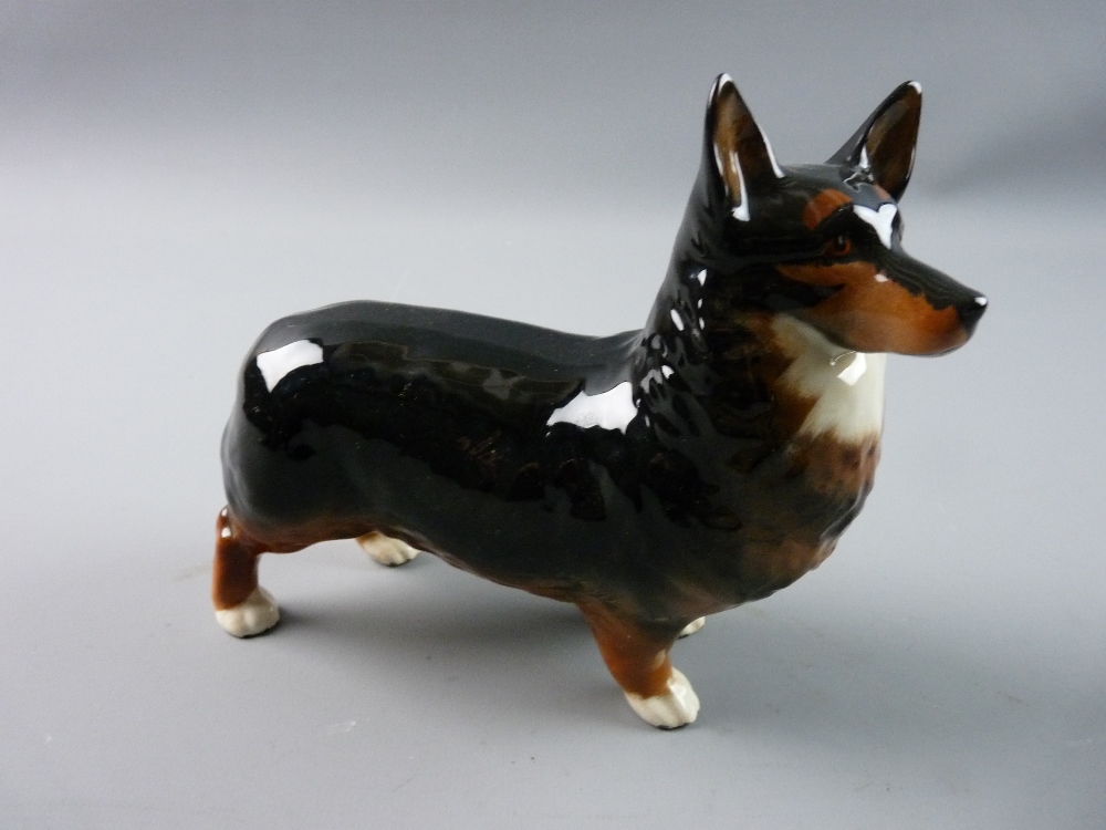 A BESWICK POTTERY STANDING CORGI DOG 'Black Prince' (a tiny chip to the tip of left ear)