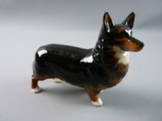 A BESWICK POTTERY STANDING CORGI DOG 'Black Prince' (a tiny chip to the tip of left ear)
