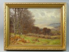 JOSIAH CLINTON JONES oil on board - wooded landscape with distant coast, signed, 26 x 37 cms