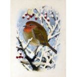 CHARLES FREDERICK TUNNICLIFFE watercolour - study of a robin perched on snowy branches, signed in