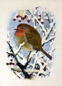 CHARLES FREDERICK TUNNICLIFFE watercolour - study of a robin perched on snowy branches, signed in