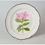 A NANTGARW PORCELAIN PLATE DECORATED BY THOMAS PARDOE having a lobed border with chocolate rim,