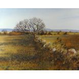 DAVID TRESS watercolour - expansive landscape with tree, hedges and stone wall, signed and dated