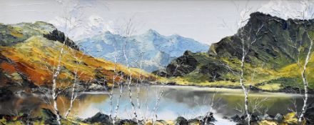 CHARLES WYATT WARREN oil on board - Llyn Nantlle with silver birch trees and Snowdonia backdrop,