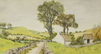 JANET C N WILLIS watercolour - Anglesey landscape with cottage, entitled verso 'Looking Towards