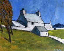 WYN HUGHES acrylic on board - Anglesey farmstead, signed and entitled verso 'Mynydd Mwyn Mawr', home