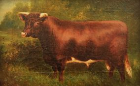 HERBERT ST. JOHN JONES oil on canvas, a pair - each being a study of prize cows and with