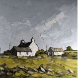 MARTIN LLEWELLYN oil on canvas - whitewashed buildings in a landscape, entitled verso 'Pembrokeshire