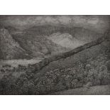 DAVID WOODFORD lithograph - entitled Nant Gwynant, signed in full and entitled and signed verso,