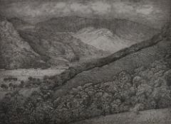 DAVID WOODFORD lithograph - entitled Nant Gwynant, signed in full and entitled and signed verso,