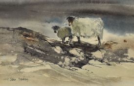 JOHN BLOCKLEY watercolour - two moorland sheep, signed and entitled verso 'Moorland Sheep', 12.5 x