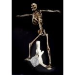 WILFRED PRITCHARD limited edition (2/3) bronze - human skeleton figure balancing on a whale-bone,