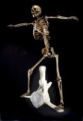 WILFRED PRITCHARD limited edition (2/3) bronze - human skeleton figure balancing on a whale-bone,