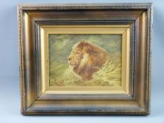 FREDERICK HANCOCK oil on board - head study of a watchful lion, signed, 13 x 18.5 cms