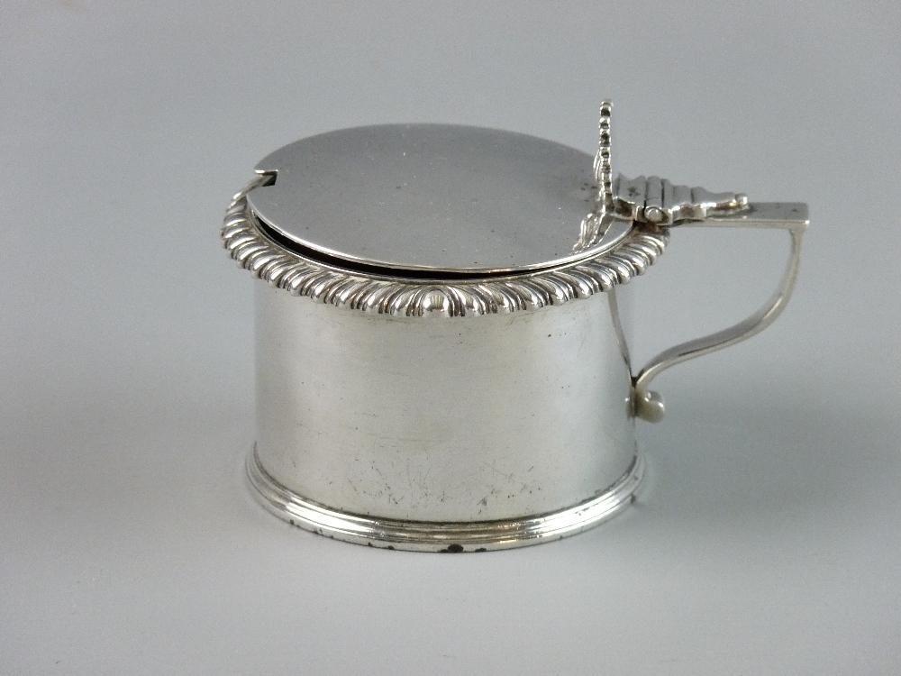 A SILVER DRUM SHAPED MUSTARD POT, lidded with shell thumbpiece, gadrooned edge and gilt interior (no