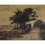 MARGARET KEMP-WELCH etching - country lane with trees, signed, 22 x 27cms