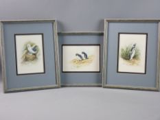 A HIRST watercolour - set of three birds, 'Jackass Penguin', 'Rockhopper Penguin' and 'Gull',