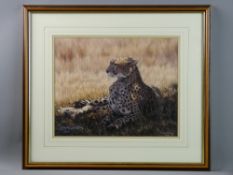 SIMON COMBES limited edition (301/850) print - a cheetah resting in the shade, 31 x 39 cms