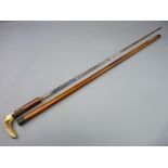 A MALACCA CASED HORN HANDLED SWORDSTICK, the 75 cms blade with floral decoration (blade rusty,