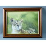 TONY WOODING oil on canvas - study of a lioness and her cub, signed and dated 1997, 24 x 34 cms