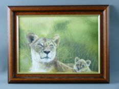 TONY WOODING oil on canvas - study of a lioness and her cub, signed and dated 1997, 24 x 34 cms