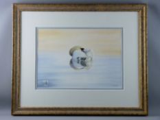 COLIN WOOLF watercolour - fine depiction of a resting swan reflected in a still pond, signed, 34.5 x