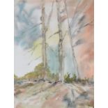 STAN JONES watercolour - wooded landscape, signed, 38.5 x 28.5cms