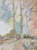 STAN JONES watercolour - wooded landscape, signed, 38.5 x 28.5cms