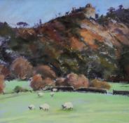 ANN WHALLEY pastel - landscape with sheep, entitled verso on Fountain Gallery, Llandeilo label, '