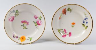 A PAIR OF SWANSEA PORCELAIN PLATES circa 1818, with gilded edges and painted flower sprays,