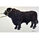 SIR KYFFIN WILLIAMS RA lithograph (ed. 50) print - standing prize-bull, entitled on Martin Tinney
