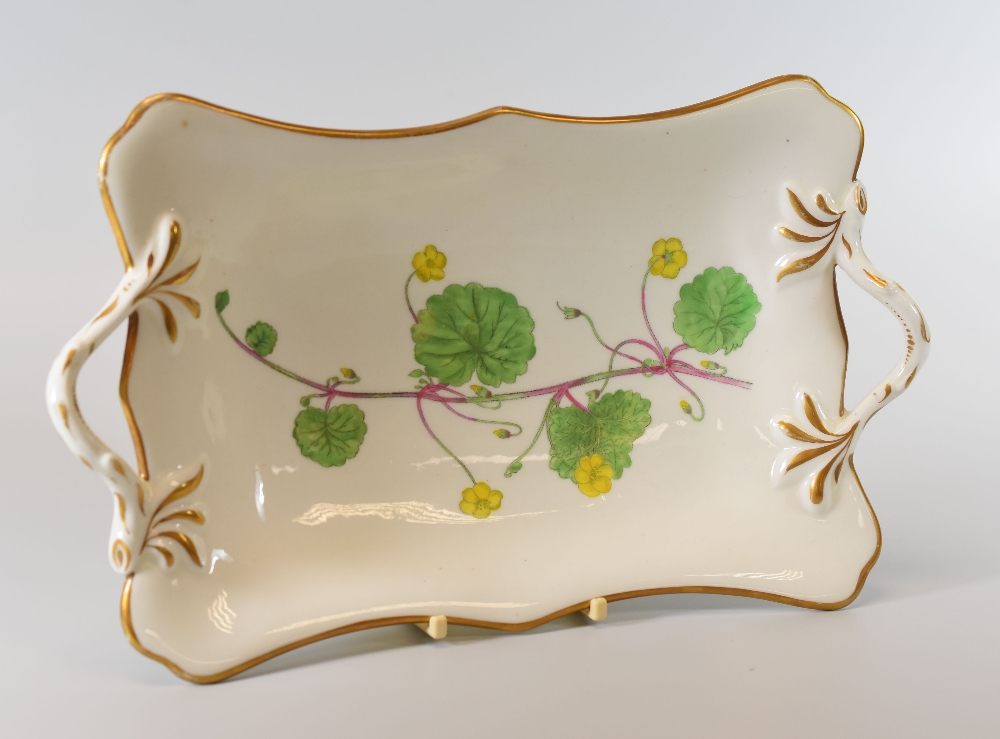 A SWANSEA PORCELAIN BOTANICAL DISH, circa 1805, of shaped rectangular form and with twig-handles and
