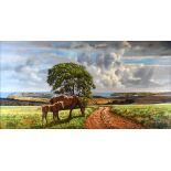 DONALD AYRES oil on canvas - coastal farmland with horse and foal on a track, entitled verso, '