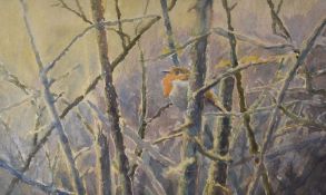 DAVID COWDREY watercolour - study of a robin perched in dense woodland, signed and dated '94, 32 x