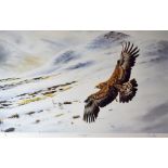 COLIN WOOLF coloured limited edition (96/200) print - buzzard on a snowy mountain in pursuit of a