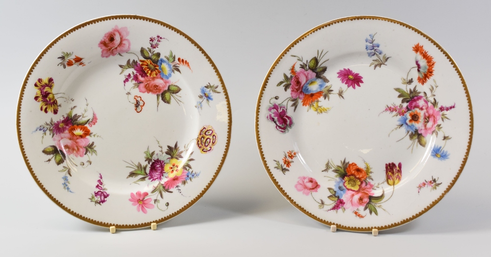 A PAIR OF SWANSEA PORCELAIN PLATES circa 1818, having a dentil rim and finely painted with sprays of