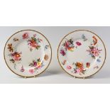 A PAIR OF SWANSEA PORCELAIN PLATES circa 1818, having a dentil rim and finely painted with sprays of