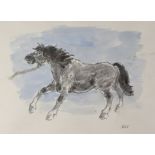 SIR KYFFIN WILLIAMS RA colour wash and pencil - a standing pony with halter, signed with initials,