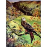 COLIN WOOLF coloured limited edition (145/200) print - depiction of an alert red kite on the