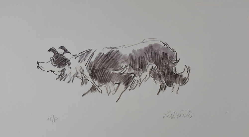 SIR KYFFIN WILLIAMS RA artist's proof (35/60) print - stalking sheepdog, signed in full, 35 x 60cms