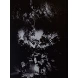 FFION NOLWENN monochrome pin-hole photographic prints, a pair - entitled 'Gwylwyr' and 'Ysbryd Glan