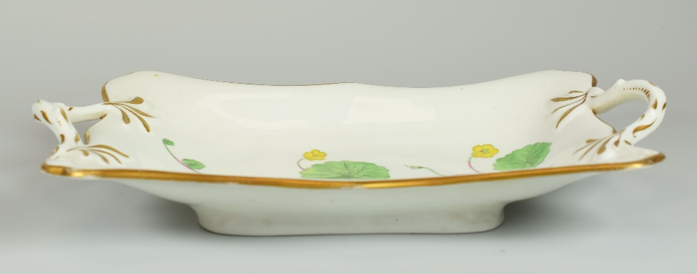 A SWANSEA PORCELAIN BOTANICAL DISH, circa 1805, of shaped rectangular form and with twig-handles and - Image 2 of 2