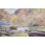 JEREMY YATES watercolour - woodland river entitled verso 'Afon Ogwen, Bethesda', signed, 31 x 50cms