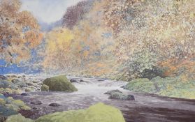JEREMY YATES watercolour - woodland river entitled verso 'Afon Ogwen, Bethesda', signed, 31 x 50cms